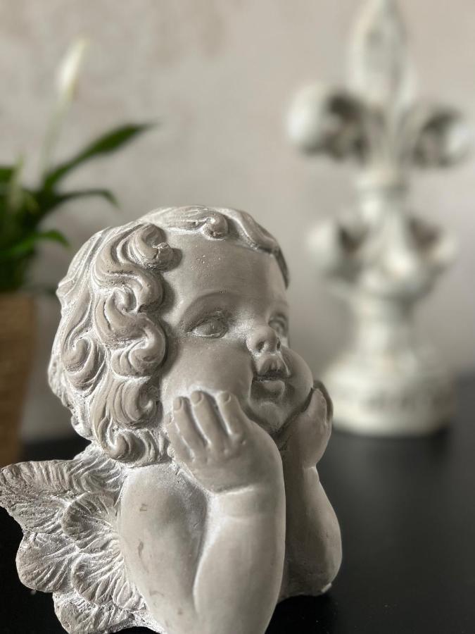 Domaine Des Anges Bed and Breakfast Avesnes-sur-Helpe Buitenkant foto